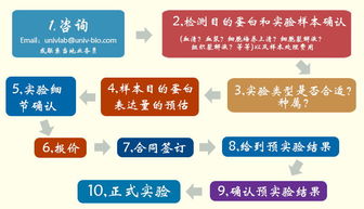 優寧維公司重磅推出抗體相關實驗技術服務體系，助力科研精準高效